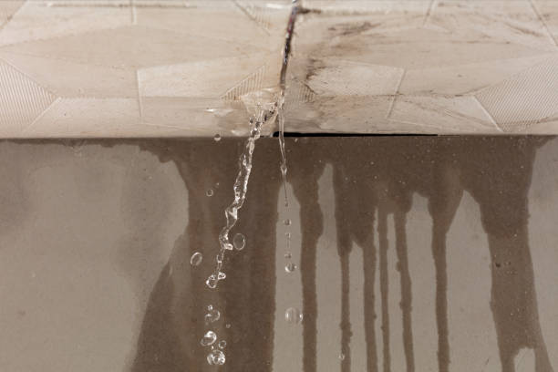 Professional Water Damage Repair technician working in Tipton, MI